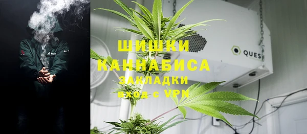 крисы Алзамай