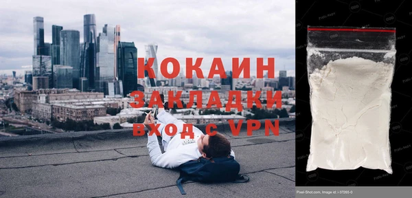 крисы Алзамай