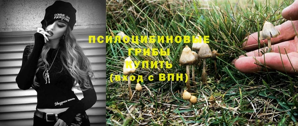 амф Алексин